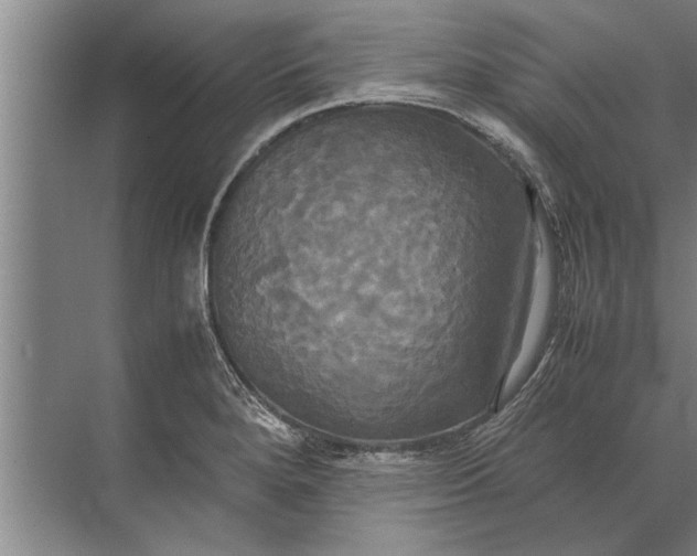 X0000072521280200607290149