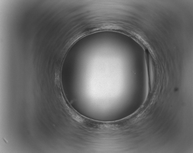 X0000072521281200607290149