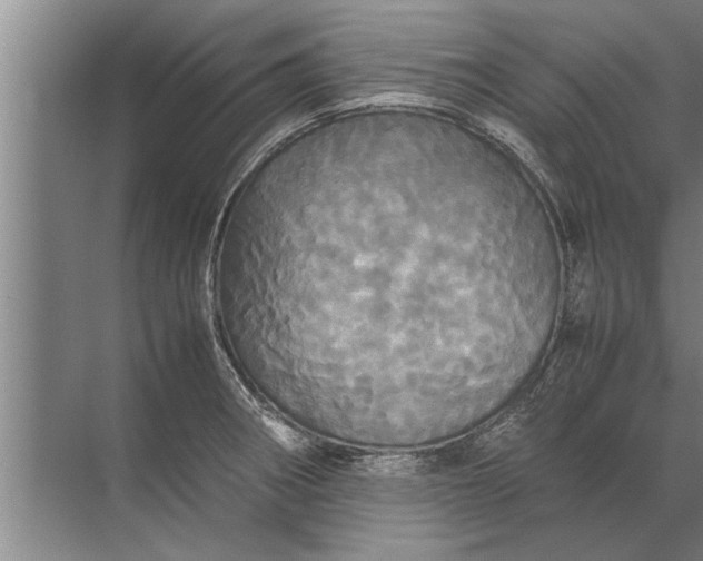 X0000072521282200607290149