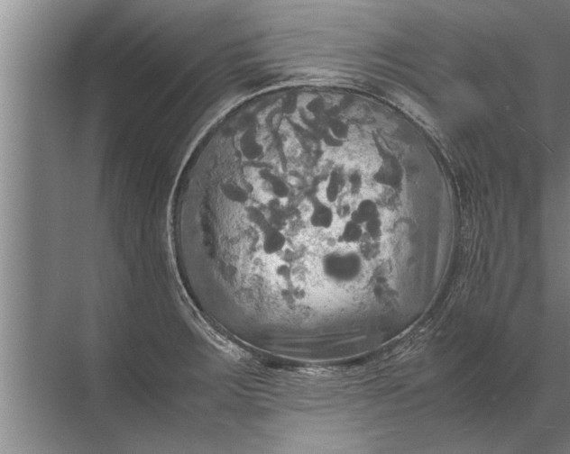 X0000072521283200607290149