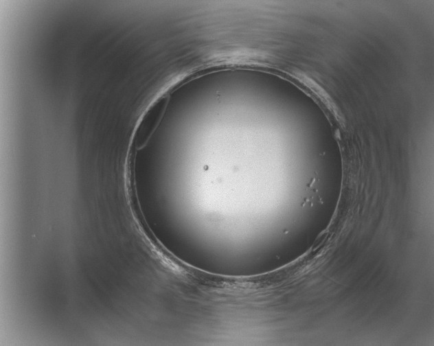 X0000072521285200607290149