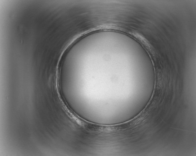 X0000072521286200607290149