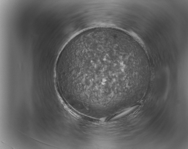 X0000072521287200607290149