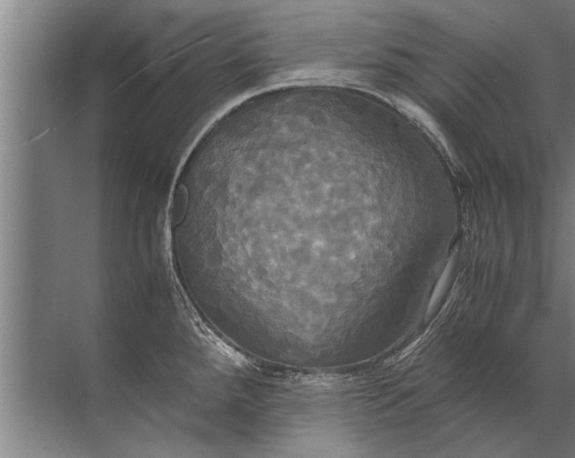 X0000072521288200607290149