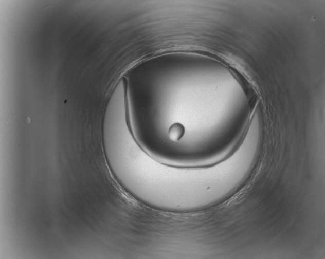 X0000072521289200607290149