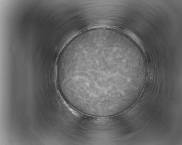 X0000072521290200607290148