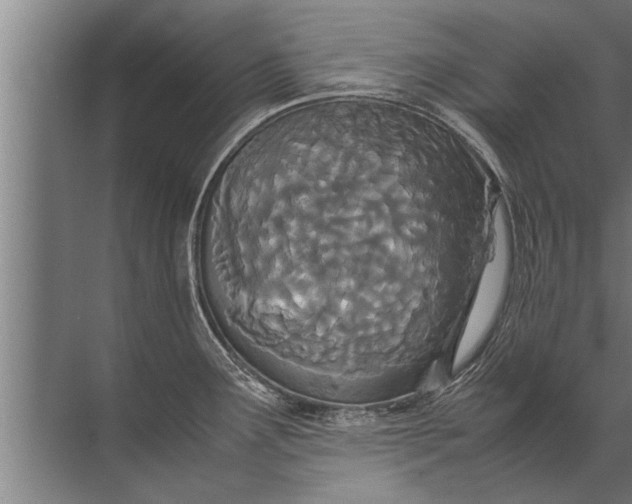 X0000072521291200607290148