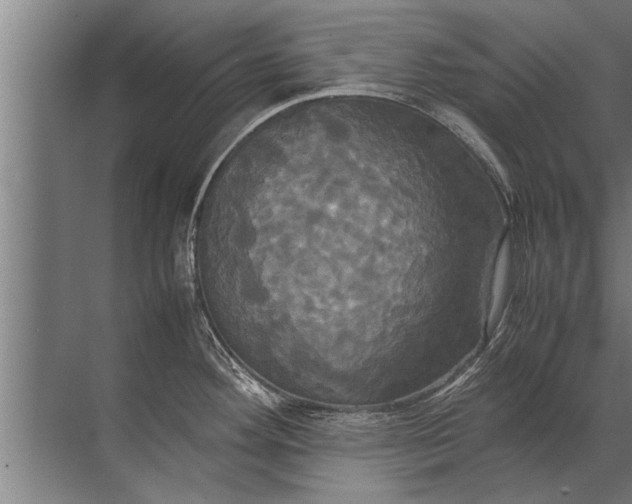 X0000072521292200607290148