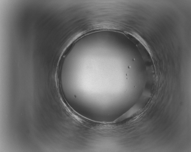 X0000072521293200607290148