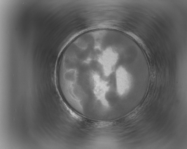 X0000072521294200607290148