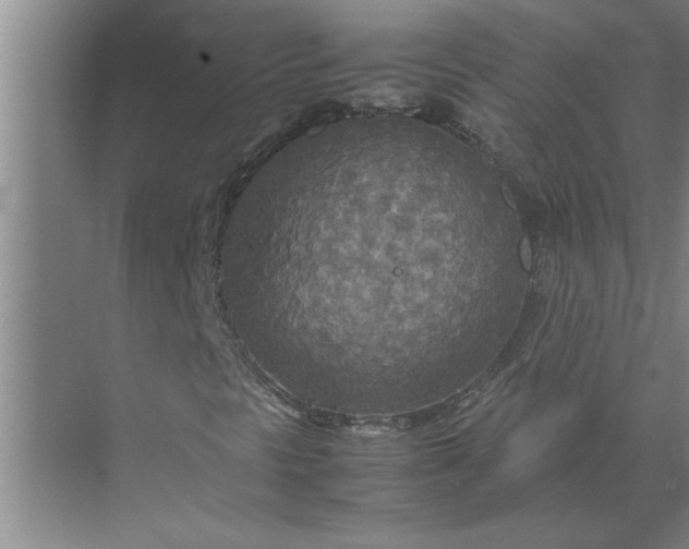 X0000072521297200607290148