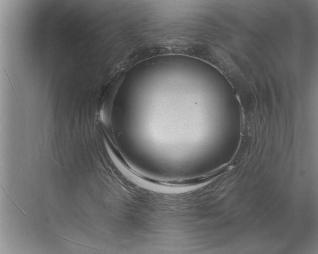 X0000072521298200607290148