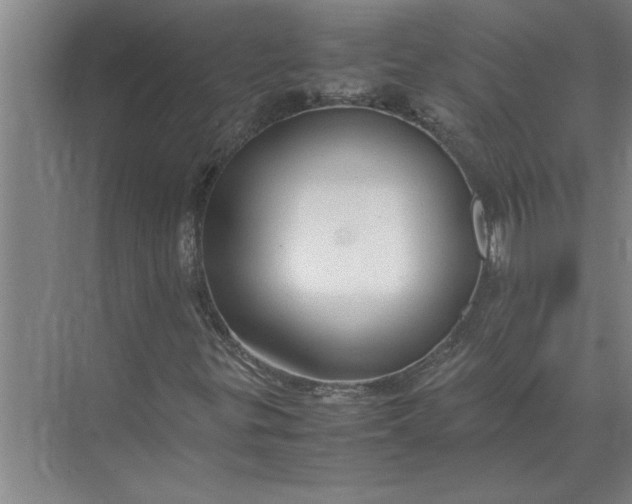 X0000072521299200607290148