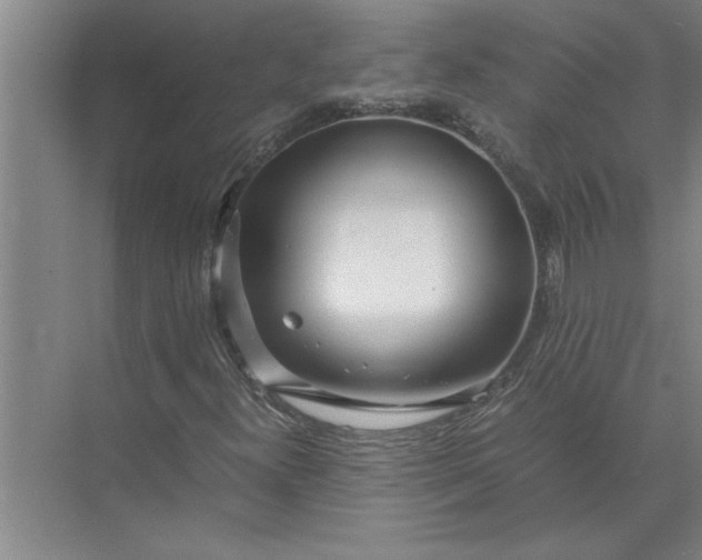 X0000072521300200607290148