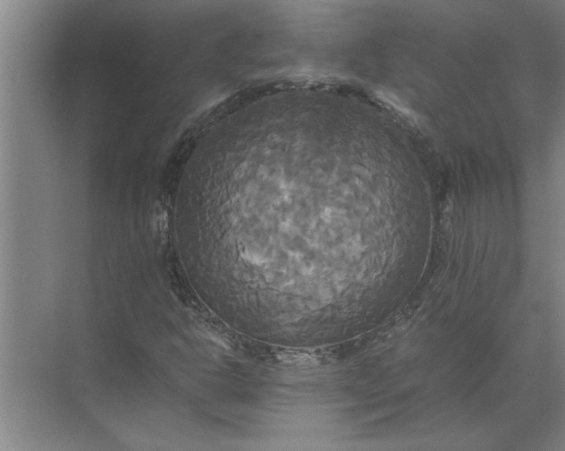 X0000072521302200607290148