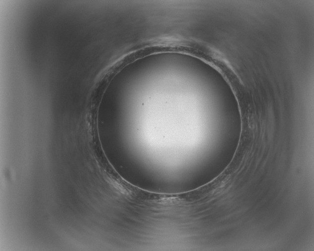 X0000072521304200607290148