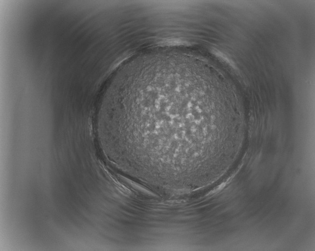 X0000072521305200607290148