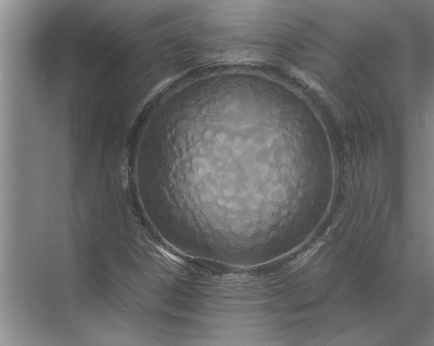 X0000072521306200607290148