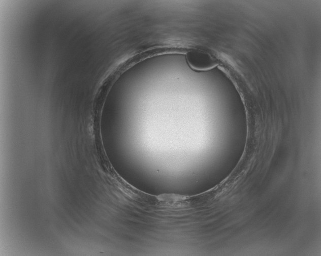 X0000072521307200607290148