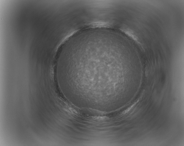 X0000072521309200607290148