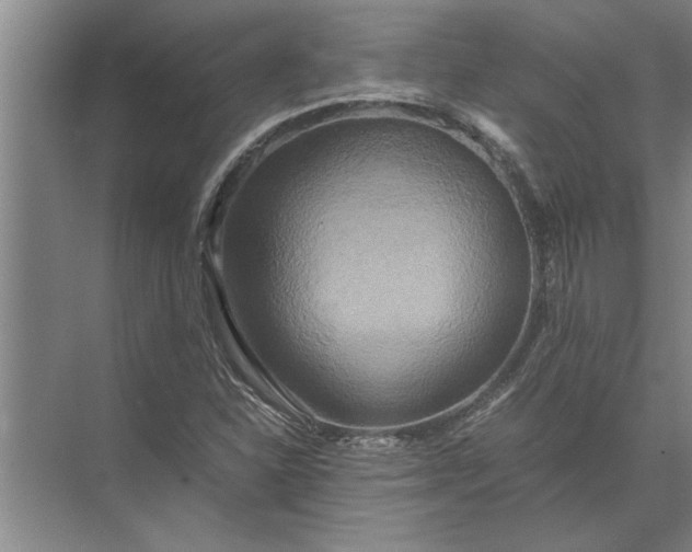 X0000072521310200607290148