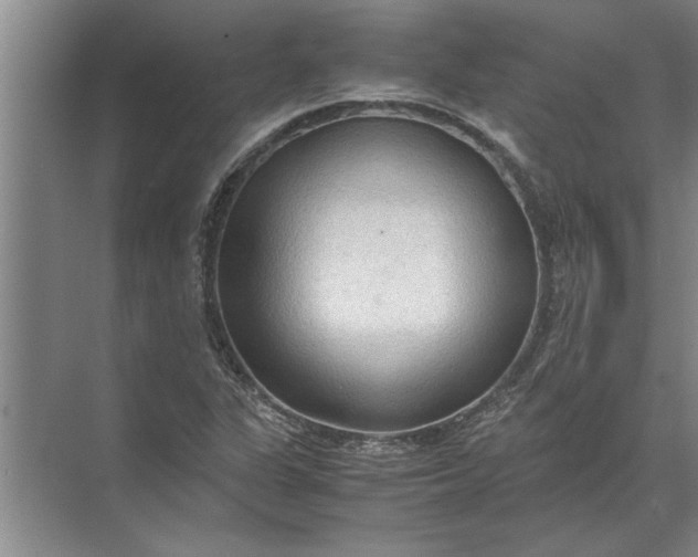 X0000072521311200607290148