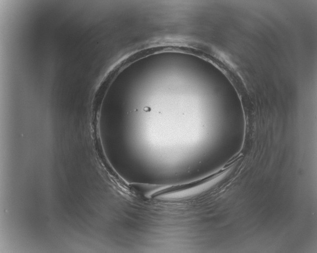 X0000072521312200607290148