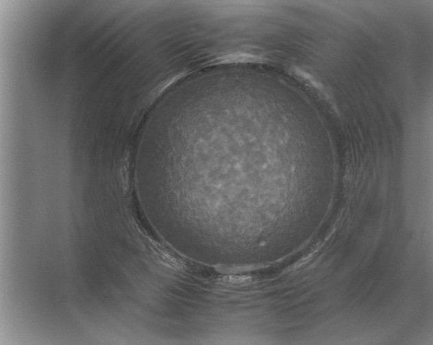 X0000072521313200607290148