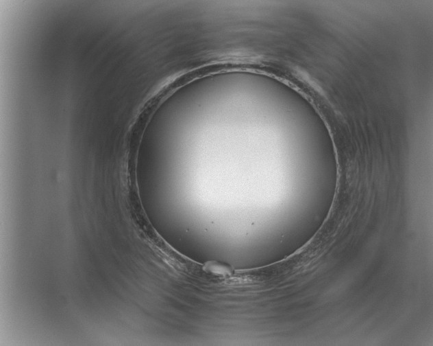 X0000072521315200607290148