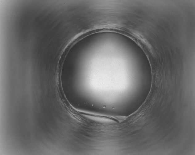 X0000072521316200607290148