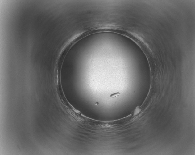 X0000072521317200607290148