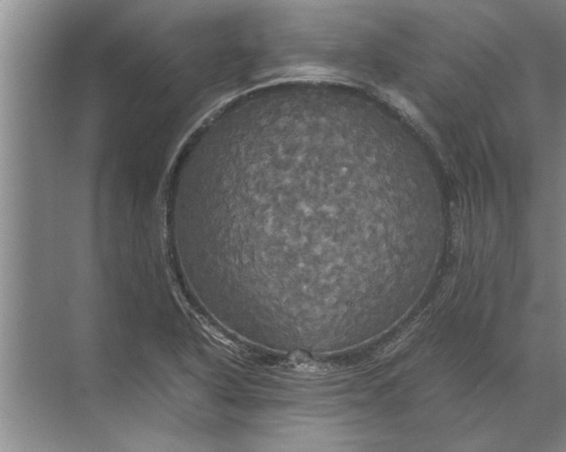 X0000072521318200607290148