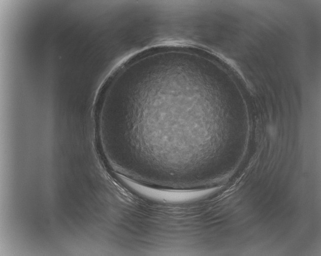 X0000072521319200607290148