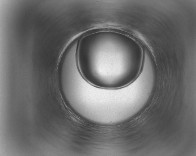 X0000072521320200607290148