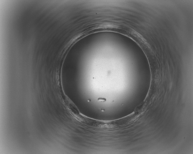 X0000072521321200607290148