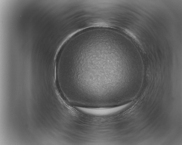 X0000072521323200607290148