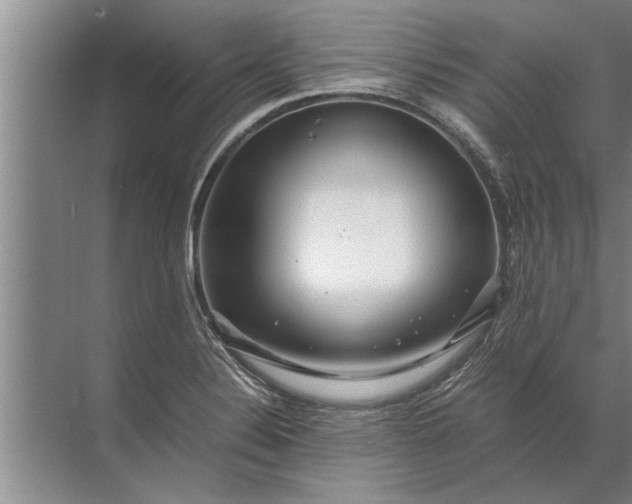 X0000072521324200607290148