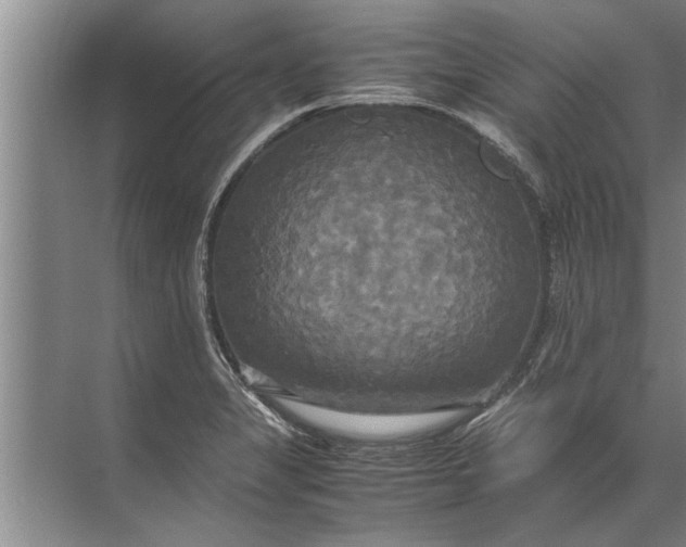 X0000072521325200607290148