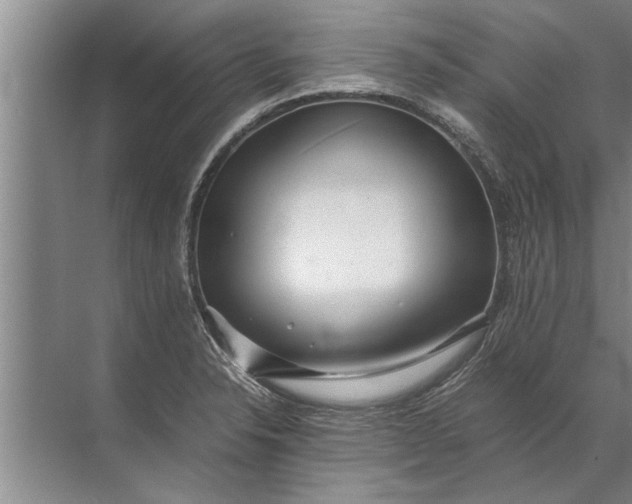 X0000072521326200607290148