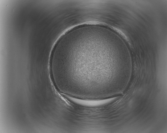 X0000072521327200607290148