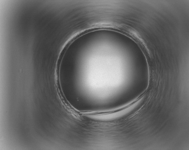 X0000072521328200607290148