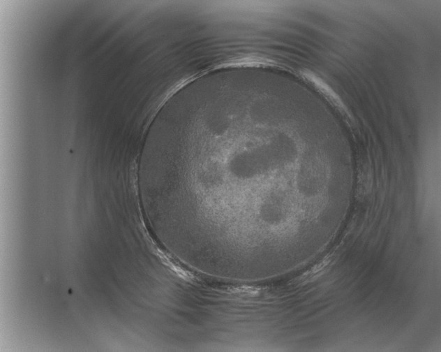 X0000072521329200607290148