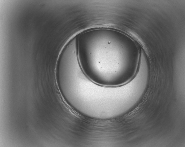 X0000072521332200607290148