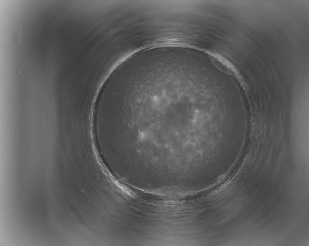 X0000072521333200607290148