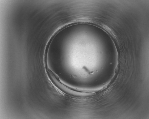 X0000072521334200607290148