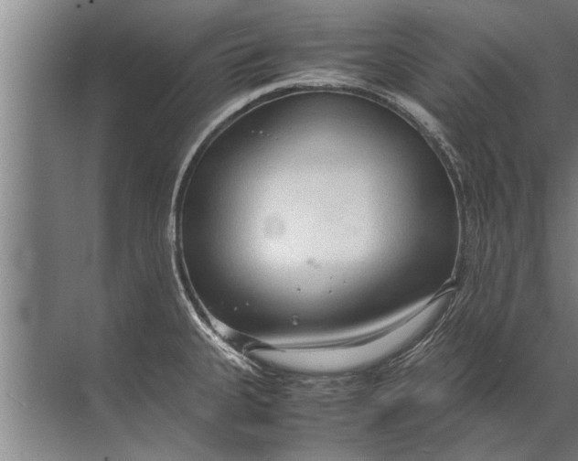 X0000072521335200607290148