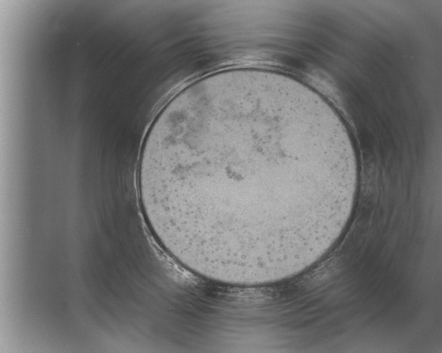 X0000072521338200607290148