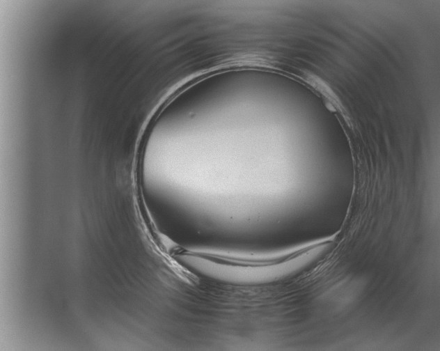 X0000072521339200607290148