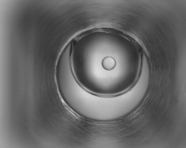 X0000072521342200607290148