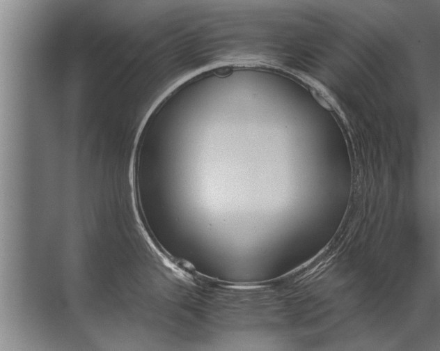 X0000072521343200607290148